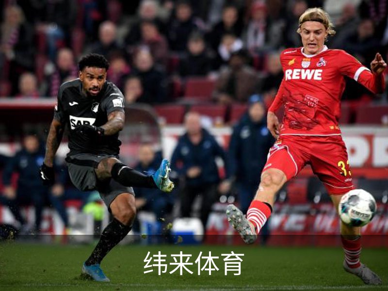 关于纬来体育